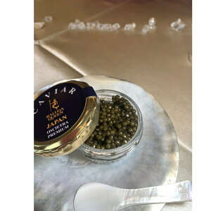 LrA 20g r IVFgv~A  v[g  tbVLrA LrA tbV O咿  Zu H ґ  ܂  ܂ O