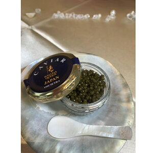 LrA IVFg 20g r tbVLrA  p O i LrA  O咿 H ґ ܂   ܂ O Hו 