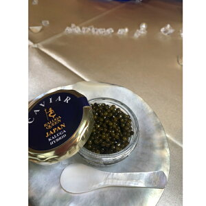 キャビア 20g×2個 ハイブリット フレッシュキャビア ハイブリットキャビア セット おいしい 美味しい シェルスプーン付 プレゼント フレッシュキャビア お祝い 高級 おつまみ ギフト 魚卵 珍