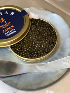 100g J[K nCubg tbVLrA   ܂ Hi H   J H Hi 蕨  v[g Ԃ O j 