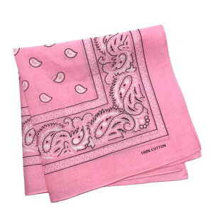 [Trifong]o_iyCY[OpЂlsN100%Rbg傫߃JV[ibc΂񂾂ȃYfB[XnJ`55cmx55cm