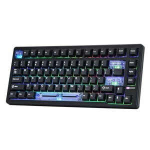 EPOMAKERHE80�z�[�����ʃQ�[�~���O�L�[�{�[�h8K�|�[�����O&32K�X�L�����N���[�~�[�K�X�P�b�gDKSSOCDRGB�o�b�N���C�g�z�b�g�X���b�v�Ή�PC&Mac�p�L���Q�[�~���O�L�[�{�[�h(Black)