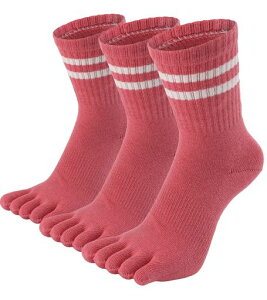 [WIOIW]5{w\bNXfB[Xܖ{wCX|[c\bNXpȃjOʋΒʊwv3