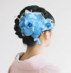 ߔZbgaKNԐlEUEїpwAANZT[4FWJ(F)