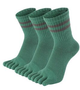 [WIOIW]5{w\bNXfB[Xܖ{wCX|[c\bNXpȃjOʋΒʊwv3