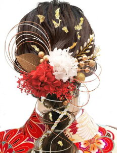 [JZOON]9FWJ萬lёƎaUhCt[vU[uht[ݑRAWA6001