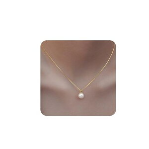 [Mesaro]p[lbNXfB[XAM[ΉՐ^y_gVvlCVo[S[hxl`A`F[߉\킢a̓蕨ޏMtgBOXc