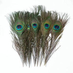 yBookwarmzẺHڋʉH23-33cm10{Zbg|pE|ERXvEh[Lb`[Et[AWgEߑp(10)