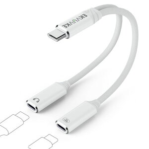 EKVUVKE^CvCCzϊPD100}[d2in1USB-CnuCzϊA_v^DACHIFIiC҂݉ʒ/ʘb/yType-cCzϊforiPhone