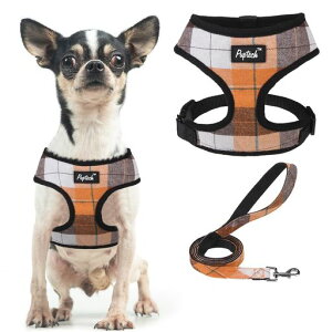 PUPTECKn[lX[hZbgpւ́[˂߉\EȒPyʃbVʋCK\tgˍޕth~ȂAɗDϋvUSpV삨ꏬc