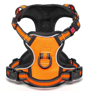 yŐV^n[lXzOGURIYAh~p֒߉\Ԕˏ^/^/^ʋCbVȒPESP݌ypPs⏕U(IWM)