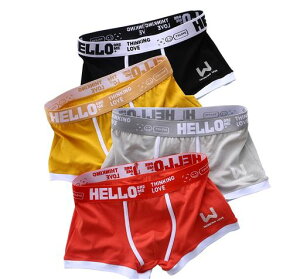 [CNYA]{NT[pcYpcY{NT[u[tpcO4g炩RۖhLzʋCznX|[cI[V[YȒjM-3XL