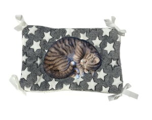 JOYFUSIONybg}bgP[WpLxbhLbg^[lRtȂ􂦂Lbg^[􂦂邠ybgxbh