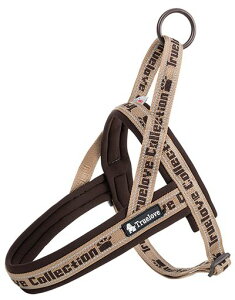 cocomallAɗDn[lX2022ŐVTRUELOVE{Xpn[lXpփhbOybgpi3MˍޗPolIvfޏ^A^A^ɌʋC߉\ĂɑΉ(Mc