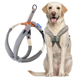 CROWNKONIpn[lXh~[ɒȂ]ȒPEP݌yNCbNvTCY^^ps⏕ppUp\tgŉKȃNbVt(O[LTCY)