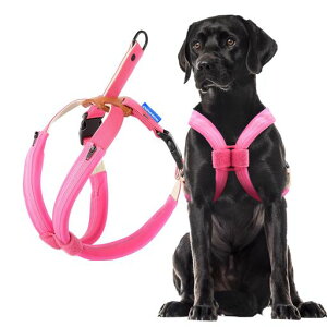 CROWNKONIpn[lXh~[ɒȂ]ȒPEP݌yNCbNvTCY^^ps⏕ppUp\tgŉKȃNbVt(sNLTCY)