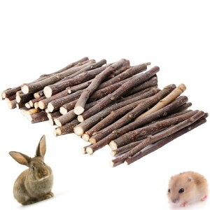 MUYYIKA������؂�񂲂̖؏�����������ނ�������ɍ׎}���}�V�R���Y�������F�������`���`���n���X�^�[�������b�g�E�T�M���X�n���l�Y�~��񂲎}��񂲂̖؏������p�V�R�̊��ނ����c