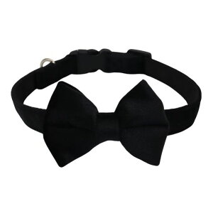 WDPAWS֌̎֏^A^A^p։ѕtyʊOȂ^Cv\tgxxbgʋC_炩TCY߉\(S)