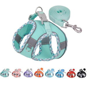 n[lX[hZbgSȂyʒʋCpn[lXLn[lX֓֊ȒPEȂ́[˂^3MTMˑfޕt}WbNe[v^^߉\ybgpic