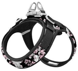 cocomallAɗDn[lX2023ŐVTRUELOVE{Xpn[lXpփhbOybgpin[lX[h3MˍޗPiC^A^A^ɌʋC߉\ĂɁc