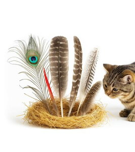 LunarcatLHVRL炵yHz6mߋ^lVуXgXm[Y[NLegC(Gb`g)C^NeBuߋLqLVLނc