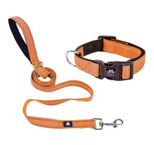 NESTROADpցE[hZbg߉\Ԕˏ^E^E^pSΉ1.5m[htꃁbVʋCSUEPp\tgɂȂȒPvhbO(SIW)