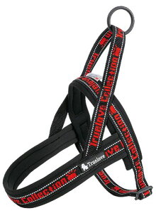 cocomallAɗDn[lX2022ŐVTRUELOVE{Xpn[lXpփhbOybgpi3MˍޗPolIvfޏ^A^A^ɌʋC߉\ĂɑΉ(XS