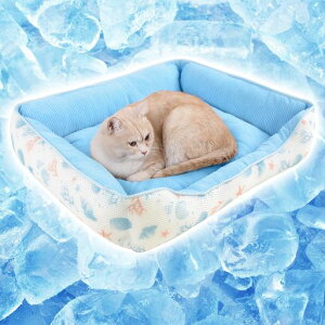 Peto-RaifuybgxbhLxbhĂЂ⊴􂦂3DʋCDꌢėpxbhėpybgNbVpxbhLpxbh⊴xbhӂӂybg\t@[΍Oa50x45x15cmLc