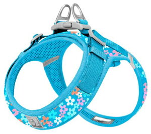 cocomallAɗDn[lX2023ŐVTRUELOVE{Xpn[lXpփhbOybgpin[lX[h3MˍޗPiC^A^A^ɌʋC߉\ĂɁc