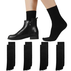 [JKXOJKX]5{w\bNXfB[Xܖ{w\bNXrWlXJWAX|[c5{wCȒʋCzLEȂȂtďH~pCԂn[tN[4c