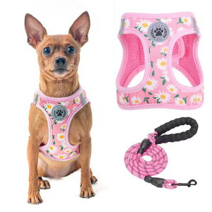 BEAUTYZOO���n�[�l�X���[�h�Z�b�g�����Ȃ����ֈ�������h�~�n���h���t�����߉\�ʋC�����b�V���y�ʔ��ˍޕt�����E�ȒP���K�U���P���V�������s�⏕�`�F�b�N���y�b�g�p�i������ꏬ�^�c