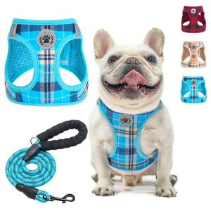 BEAUTYZOOpn[lX[hZbg^^Ήh~߉\ʋCbVyʔˍޕtȒPEȂKUPVs⏕ėp`FbNybgpc