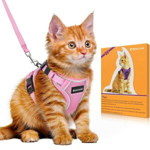 LLpn[lX[hZbgL[v[hLLpn[lX֔L˂lRqLUoȂxXg\tgČyʓʂ\TCY߉锽˒ʋCbVc