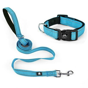 NESTROADpցE[hZbg߉\Ԕˏ^E^E^pSΉ1.5m[htꃁbVʋCSUEPp\tgɂȂȒPvhbO(Mu[)