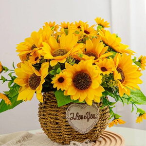 koundenekoAԂЂ܂lHϗtAVNt[CG[ԃ|bgfXNgbvԃO[֒uCeAVjv[gz[fR[V҂ݔt