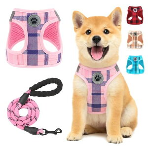 BEAUTYZOOpn[lX[hZbg^^Ήh~߉\ʋCbVyʔˍޕtȒPEȂKUPVs⏕ėp`FbNybgpc