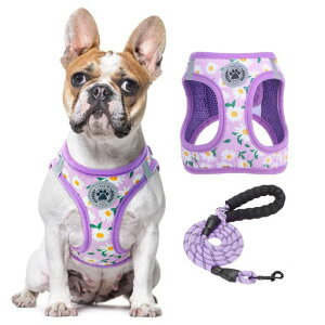 BEAUTYZOO���n�[�l�X���[�h�Z�b�g�����Ȃ����ֈ�������h�~�n���h���t�����߉\�ʋC�����b�V���y�ʔ��ˍޕt�����E�ȒP���K�U���P���V�������s�⏕�`�F�b�N���y�b�g�p�i������ꏬ�^�c