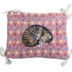 JOYFUSIONybg}bgP[WpLxbhLbg^[lRtȂ􂦂Lbg^[􂦂邠ybgxbh(CgsN)