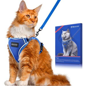 BigcowLLp[hZbgL[v[hLn[lXLpn[lX֔L˂lRqLUoȂxXg\tgČyʓʂ\TCY߉锽˒ʋCbc