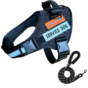 MaioBenrin[lXn[lX^^^Ȃn[lXn[lXC[W[EH[Nn[lX[hLk\tgn[lXh~n[lXn[lXxgジ蔲Ȃc