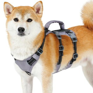 Huntboon[lX^^pn[lXh~ȂTCY\ԔˊPݖh~s⏕PU^Č(ubNS)