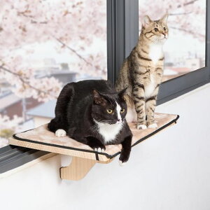 petsfitLxbhpnbNLnbNؐp䕨Œŗh~10kgω׏d􂦂}bgttȒPڂ⒭]ɍœKXgXȃXy[XݔLւ̃vc