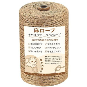 BValley6mmꑾ[vRVR@ۃW[gЂyA[vL^[܌XNb`[DIY||AEghAp(F-20M)