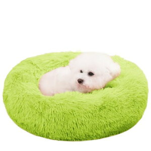 ZurZur�L���N�b�V�����y�b�g�x�b�h�ӂ�ӂ���������������薰��g�����h�[�i�c���E���h�^�����h�������΍��􂦂銊��~�߂ӂ��ӂ��L�����p�\�t�@�[�ʔN�y�b�g�p�i