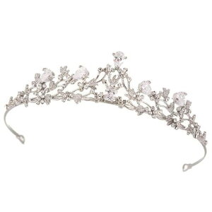 YFFSFDC艤eBANELLԕwAANZT[p[wƎIaʐ^Bev[g̎q