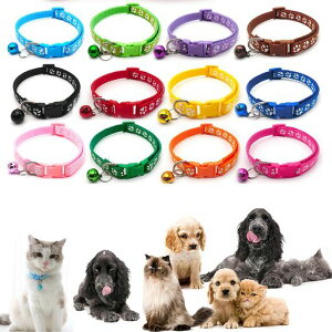 L֔L֖̎ԃtN^[tZ[teBobNtSxtːyʒ\SLp(12F̃X[c-C)