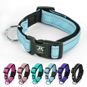 NESTROAD����֒��߉\��Ԕ��ˏ��^���E���^���E��^���p�S����Ή�������ꃁ�b�V���ʋC�����S�P���p���b�V���\�t�g�ɂ��Ȃ��ȒP������v(�u���[XS)