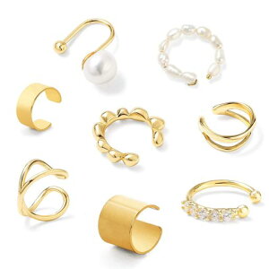 LasollC[Jt8tFCNsAXmz[sAXfB[XCOޏd˕tsAXsvAM[Ήa̓LOS[h