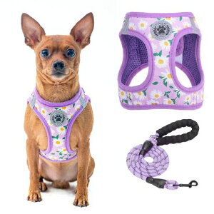 BEAUTYZOO���n�[�l�X���[�h�Z�b�g�����Ȃ����ֈ�������h�~�n���h���t�����߉\�ʋC�����b�V���y�ʔ��ˍޕt�����E�ȒP���K�U���P���V�������s�⏕�`�F�b�N���y�b�g�p�i������ꏬ�^�c