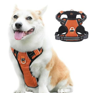 Paipeperpn[lXhbOEGAp֋ď^n[lX^n[lX^n[lXԔ˂ph~U\ȒP(IWS)